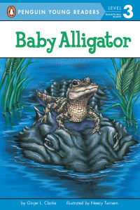 Cover image: Baby Alligator 9780448420950