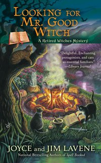 Cover image: Looking for Mr. Good Witch 9780425268261