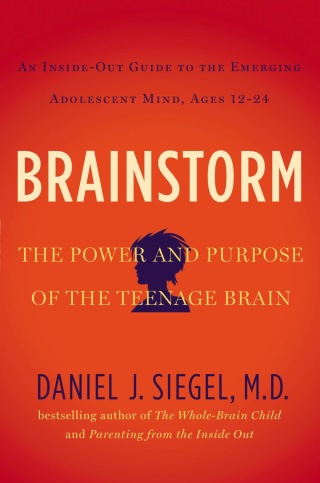 Cover image: Brainstorm 9781585429356