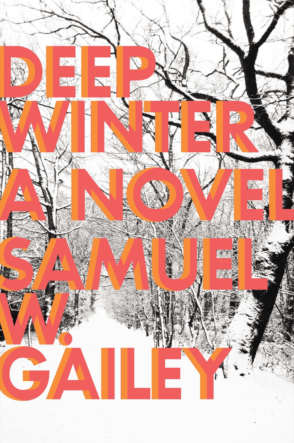 Deep Winter a Novel