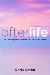 Cover image: Afterlife 9780399166129