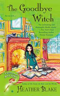 Cover image: The Goodbye Witch 9780451465870
