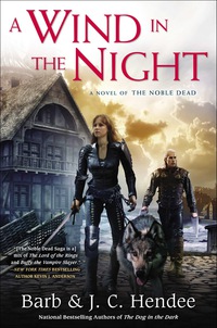 Cover image: A Wind in the Night 9780451465672