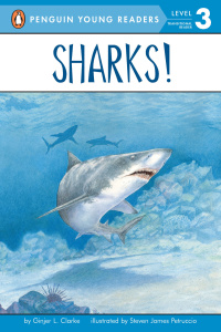 Cover image: Sharks! 9780448424903