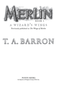 Cover image: The Wizard's Wings 9780142419236