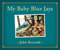 Cover image: My Baby Blue Jays 9780670012909