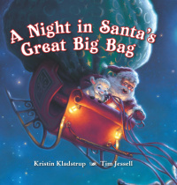 Cover image: A Night in Santa's Great Big Bag 9780670011650