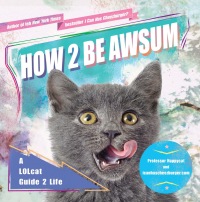 Cover image: How 2 Be Awsum 9781592407026