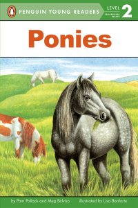Cover image: Ponies 9780448425245
