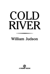 Cover image: Cold River 9780451166494