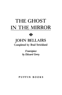 Cover image: The Ghost in the Mirror 9780140349344