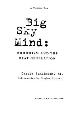 Cover image: Big Sky Mind 9781573225014