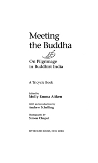 Cover image: Meeting the buddha 9781573225069