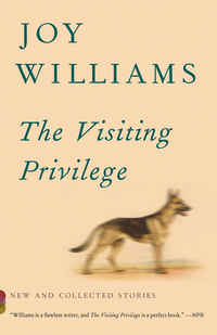 Cover image: The Visiting Privilege 9781101874899