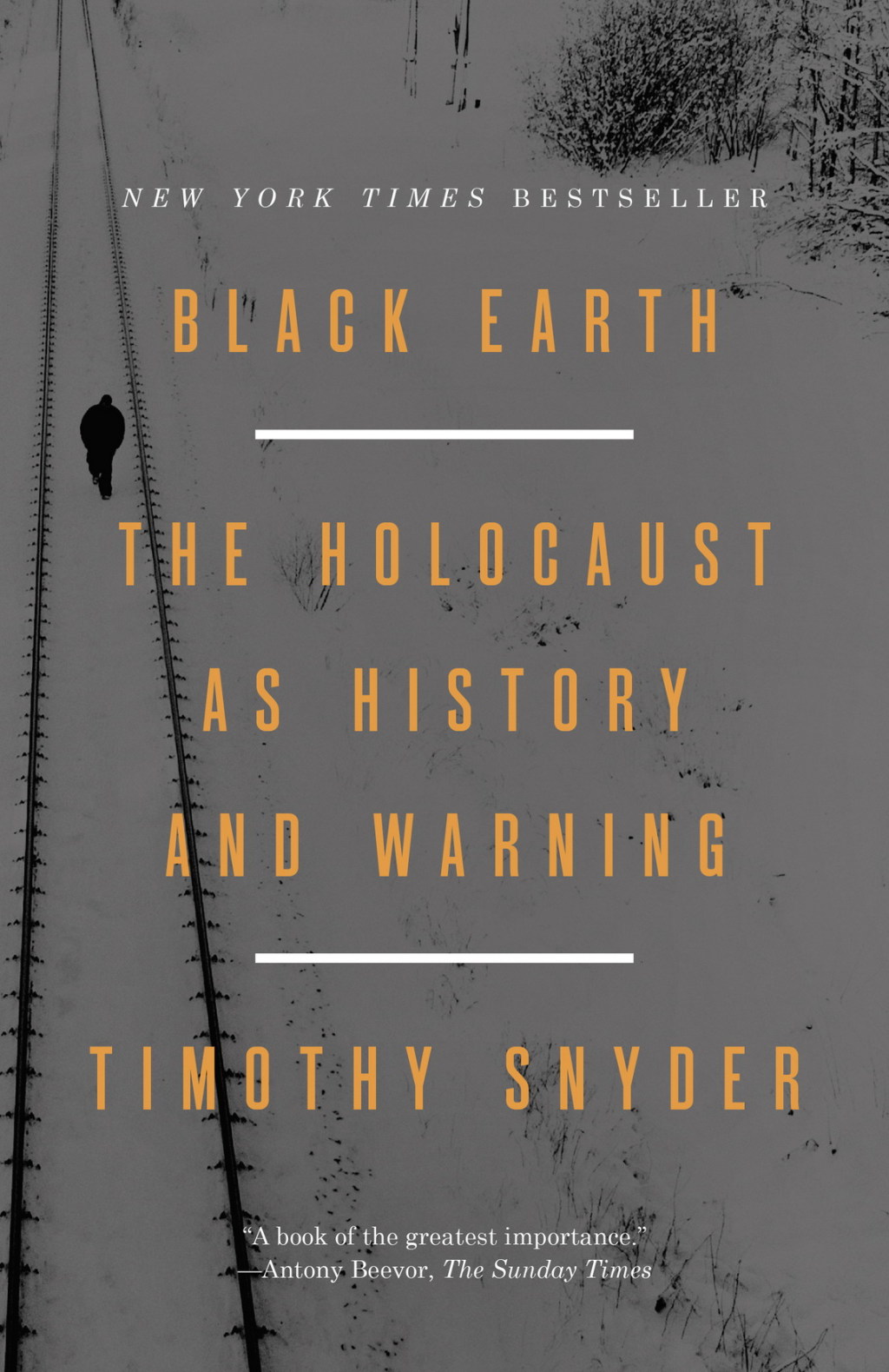 Black Earth The Holocaust as History and Warning