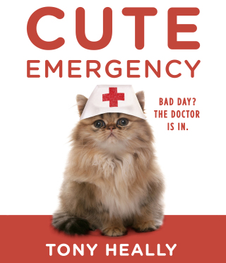 Cover image: Cute Emergency 9781101904626