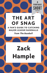 Cover image: The Art of Snag