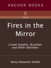 Cover image: Fires in the Mirror 9780385470148