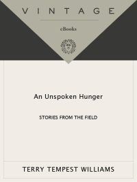 Cover image: An Unspoken Hunger 9780679752561