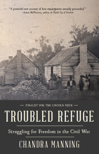 Cover image: Troubled Refuge 9780307271204