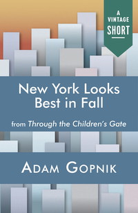 Cover image: New York Looks Best in Fall 9781400075751