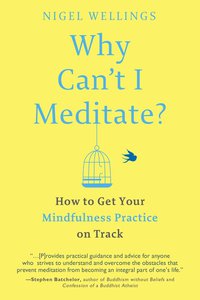 Cover image: Why Can't I Meditate? 9781101983270