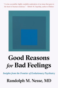 Cover image: Good Reasons for Bad Feelings 9781101985663