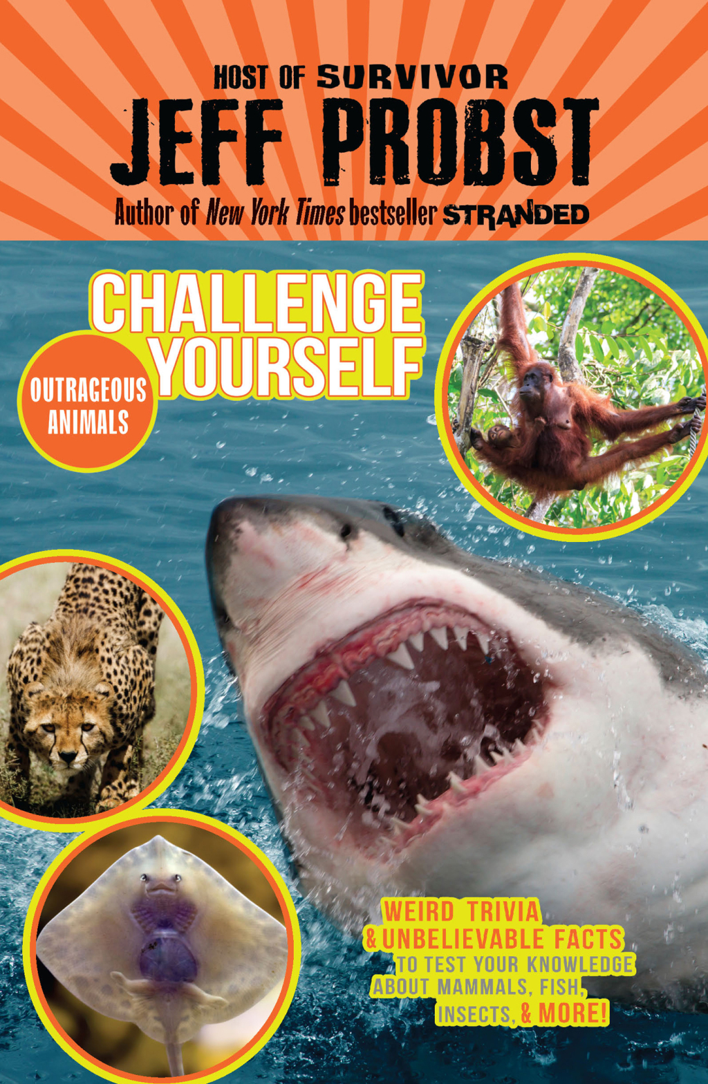 Outrageous Animals eBook