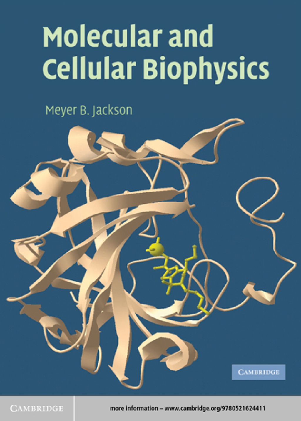 Molecular and Cellular Biophysics 1st Edition
