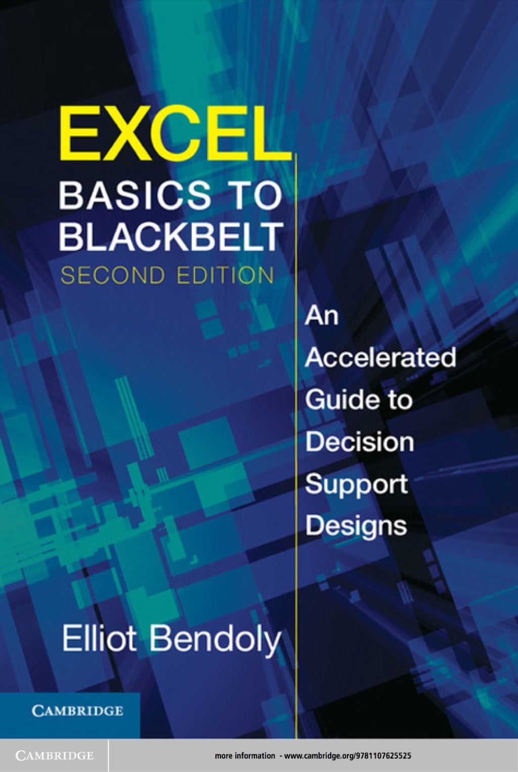 Excel Basics to Blackbelt An Accelerated Guide to Decision Support Designs 2nd Edition