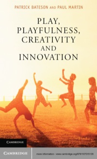 Cover image: Play, Playfulness, Creativity and Innovation 1st edition 9781107015135