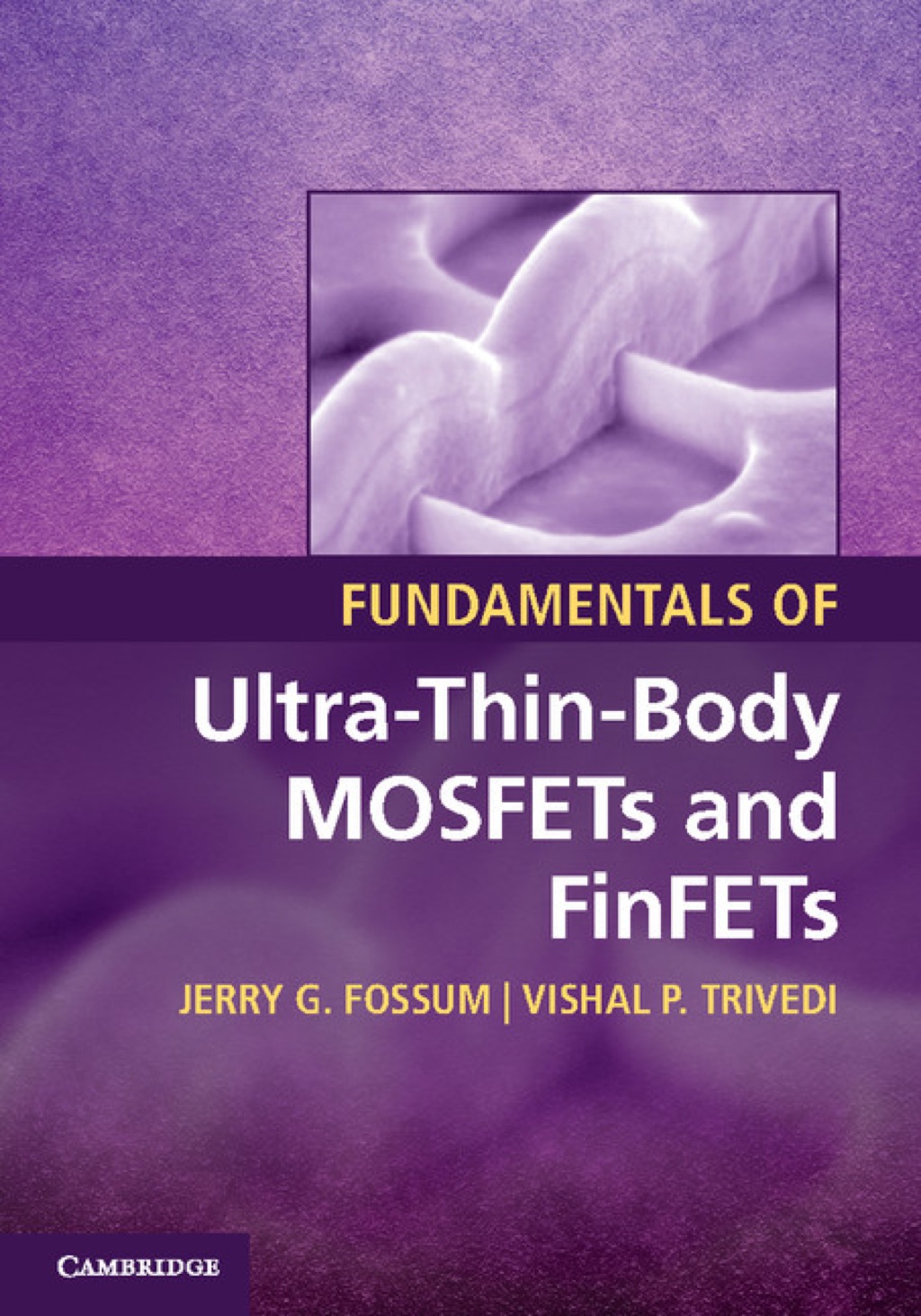 Fundamentals of Ultra-Thin-Body MOSFETs and FinFETs 1st Edition