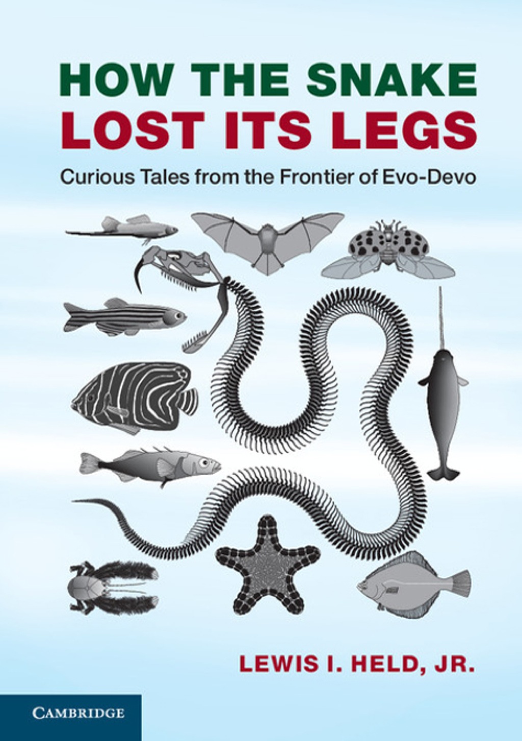 How the Snake Lost its Legs Curious Tales from the Frontier of Evo-Devo 1st Edition