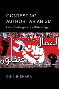 Cover image: Contesting Authoritarianism 9781107193574