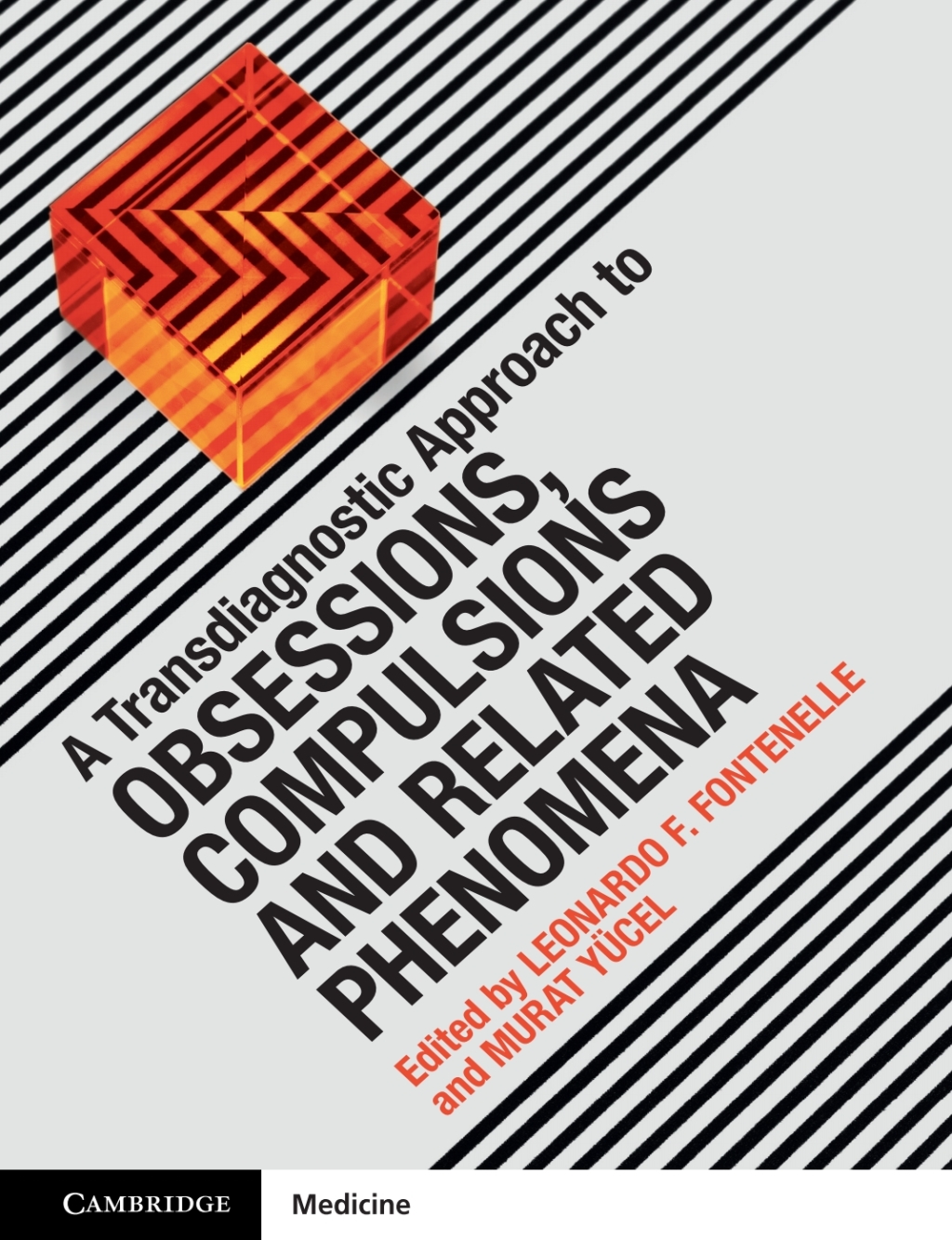 A Transdiagnostic Approach to Obsessions, Compulsions and Related Phenomena