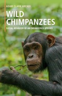 صورة الغلاف: Wild Chimpanzees 9781107197176