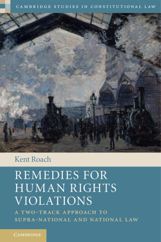 Imagen de portada: Remedies for Human Rights Violations 9781108417877