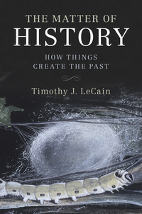 Cover image: The Matter of History 9781107134171
