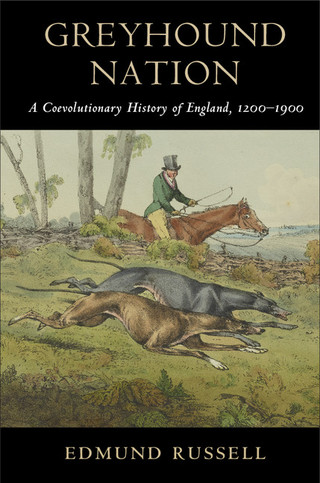 Imagen de portada: Greyhound Nation 9780521762090