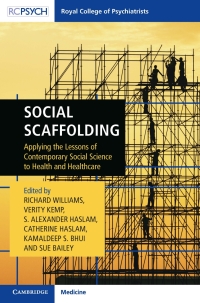 Imagen de portada: Social Scaffolding 9781911623045