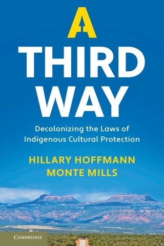 Imagen de portada: A Third Way 9781108482776