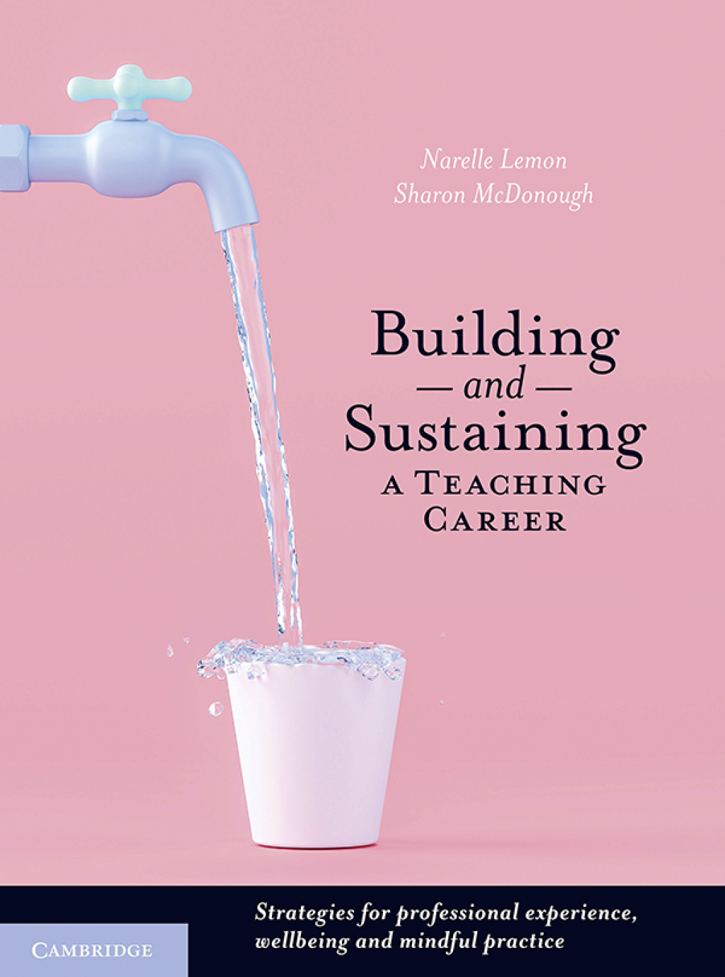 Building and Sustaining a Teaching Career Strategies for Professional Experience, Wellbeing and Mindful Practice