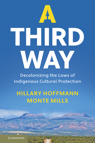 Imagen de portada: A Third Way 9781108482776