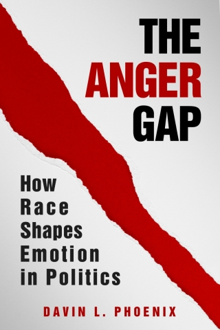 Imagen de portada: The Anger Gap 9781108485906