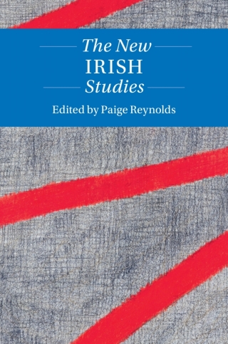 Imagen de portada: The New Irish Studies 1st edition 9781108473996