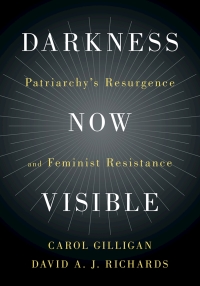 Cover image: Darkness Now Visible 9781108470650