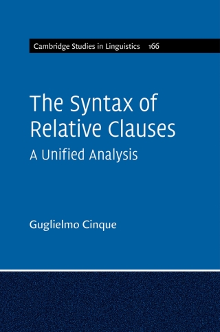 Imagen de portada: The Syntax of Relative Clauses 9781108479707