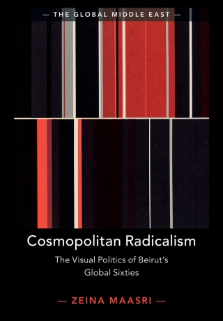 Imagen de portada: Cosmopolitan Radicalism 9781108487719
