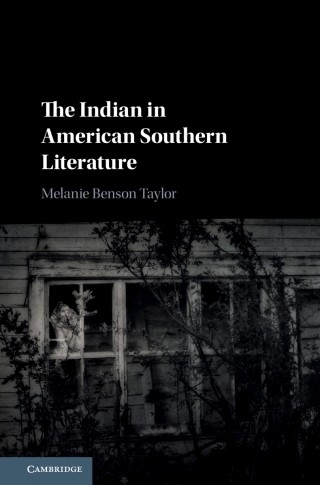 Cover image: The Indian in American Southern Literature 9781108495318