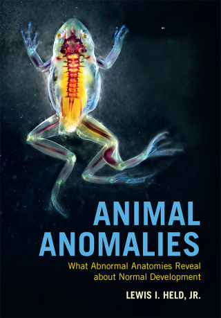 Cover image: Animal Anomalies 9781108834704